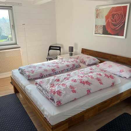 Gemuetliche Ferienwohnung Im Altbau 戈斯拉尔 外观 照片