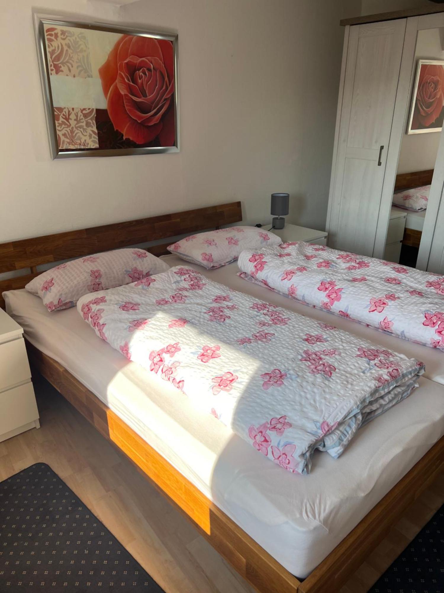Gemuetliche Ferienwohnung Im Altbau 戈斯拉尔 外观 照片