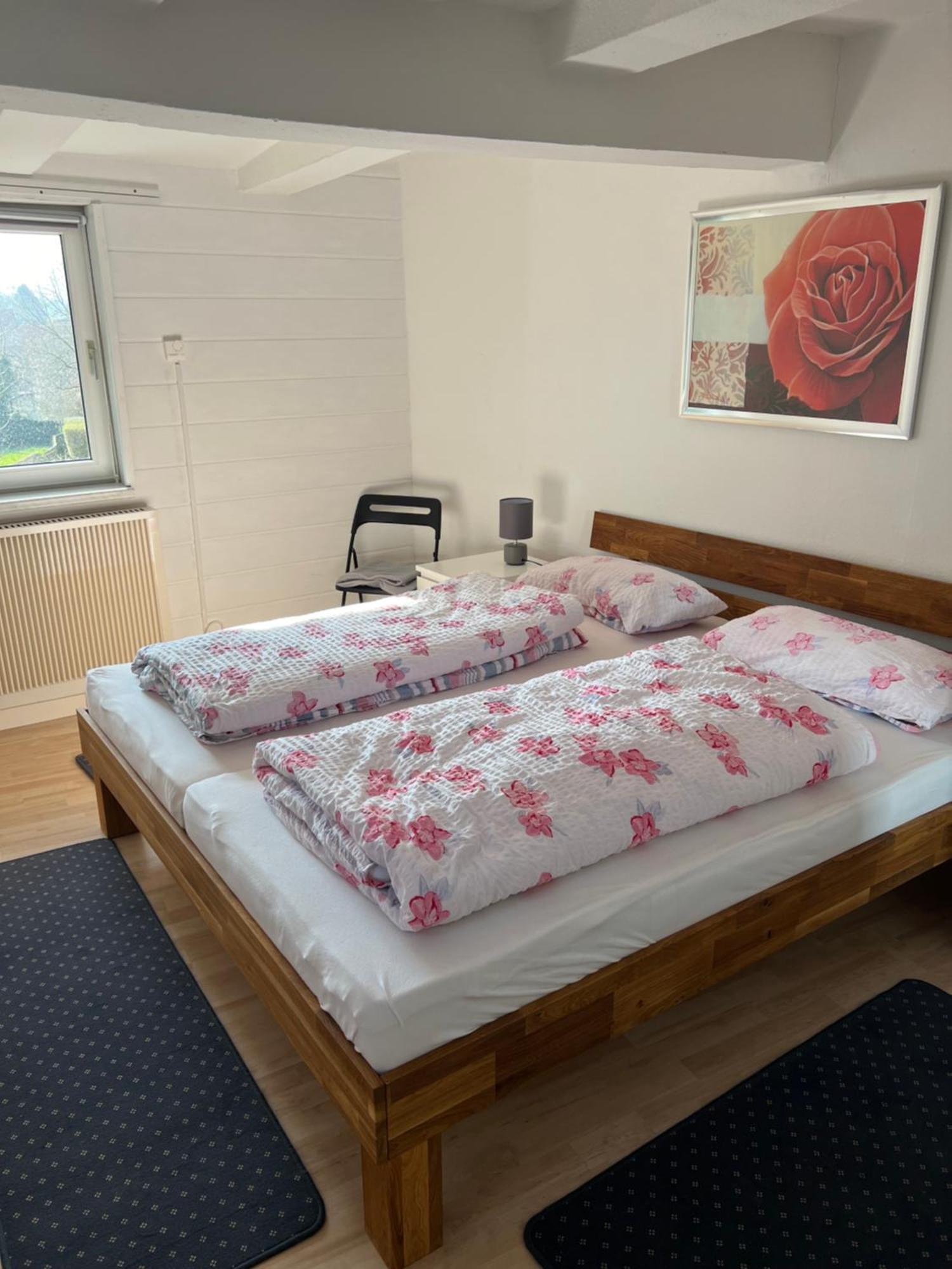 Gemuetliche Ferienwohnung Im Altbau 戈斯拉尔 外观 照片